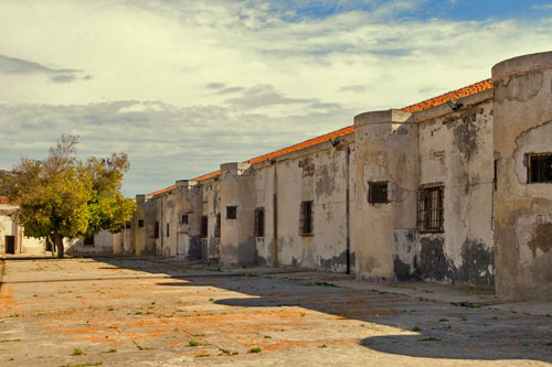 Isola Asinara