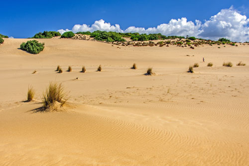 auf den Dünen der Costa Verde