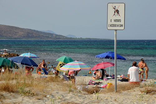 Dog ban on the beach