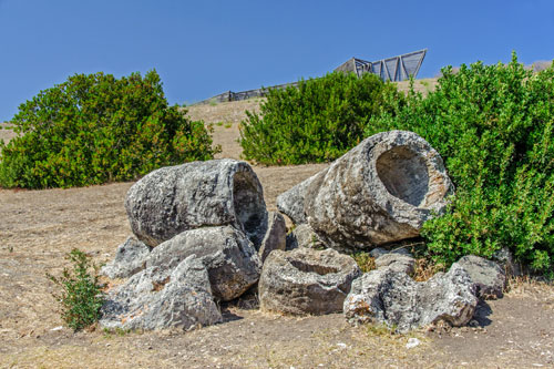 Martis, Petrified Forest