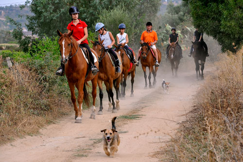 Riding in the countryside