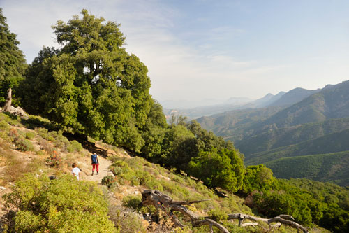 Hiking in sardinia