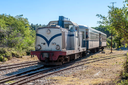 Trenino Verde