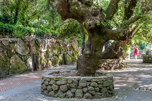 Springs in San Leonardo de Siete Fuentes