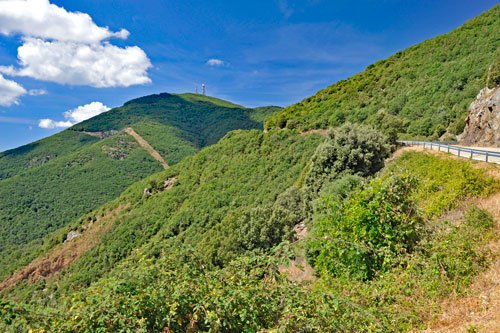 Blick auf den Monte Rasu